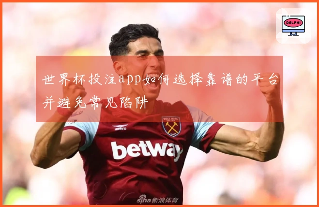 世界杯投注app如何选择靠谱的平台并避免常见陷阱