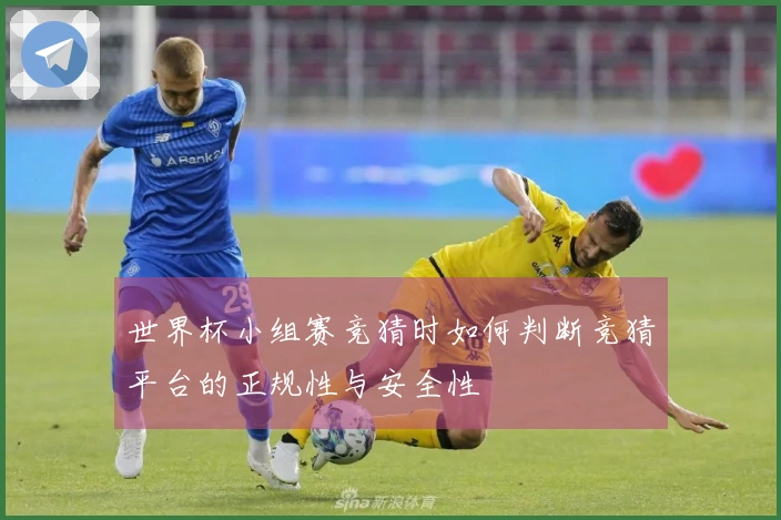 世界杯小组赛竞猜时如何判断竞猜平台的正规性与安全性