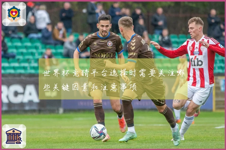 世界杯竞猜平台选择时需要关注哪些关键因素和注意事项