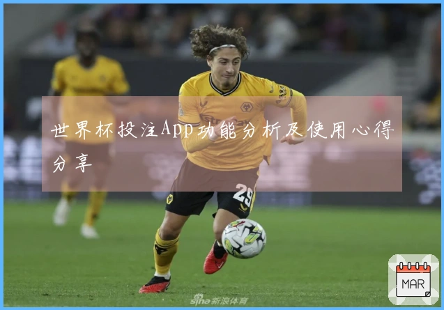 世界杯投注App功能分析及使用心得分享