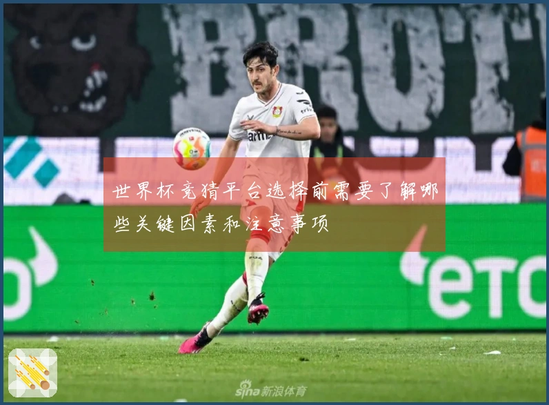 世界杯竞猜平台选择前需要了解哪些关键因素和注意事项