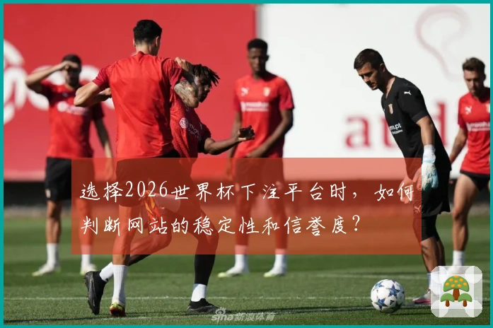 选择2026世界杯下注平台时，如何判断网站的稳定性和信誉度？