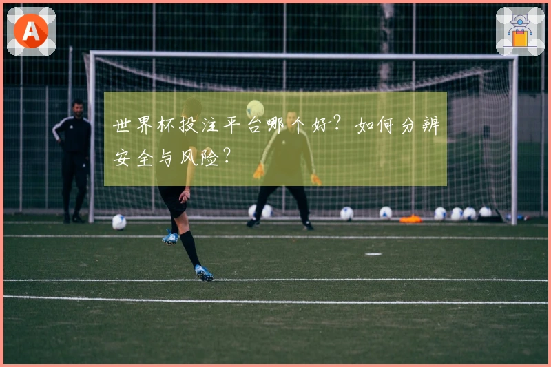 世界杯投注平台哪个好？如何分辨安全与风险？