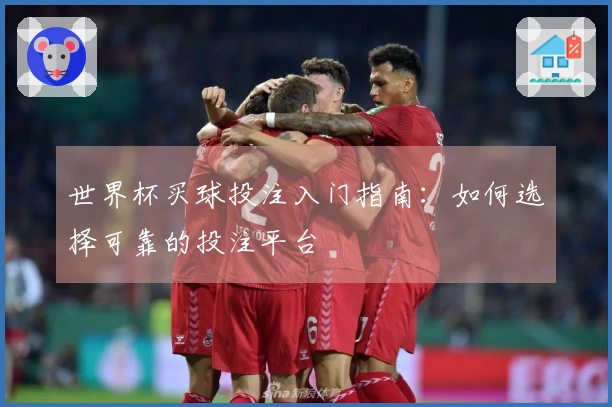 世界杯买球投注入门指南:如何选择可靠的投注平台