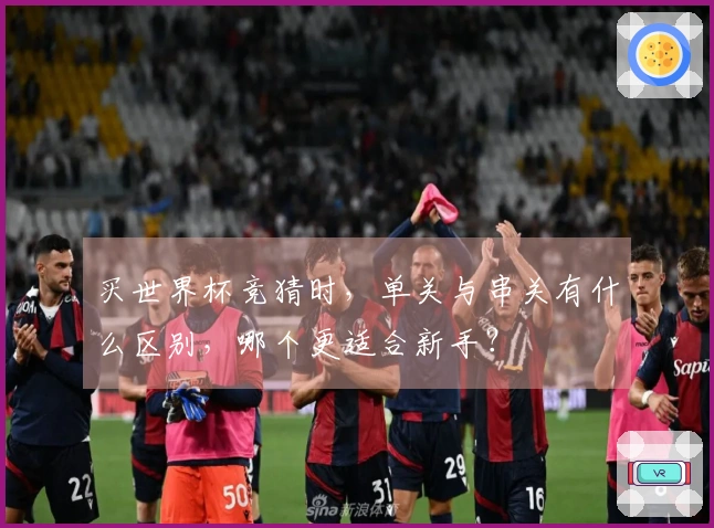 买世界杯竞猜时，单关与串关有什么区别，哪个更适合新手？