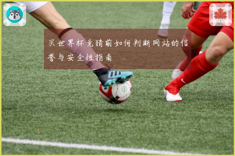 买世界杯竞猜前如何判断网站的信誉与安全性指南