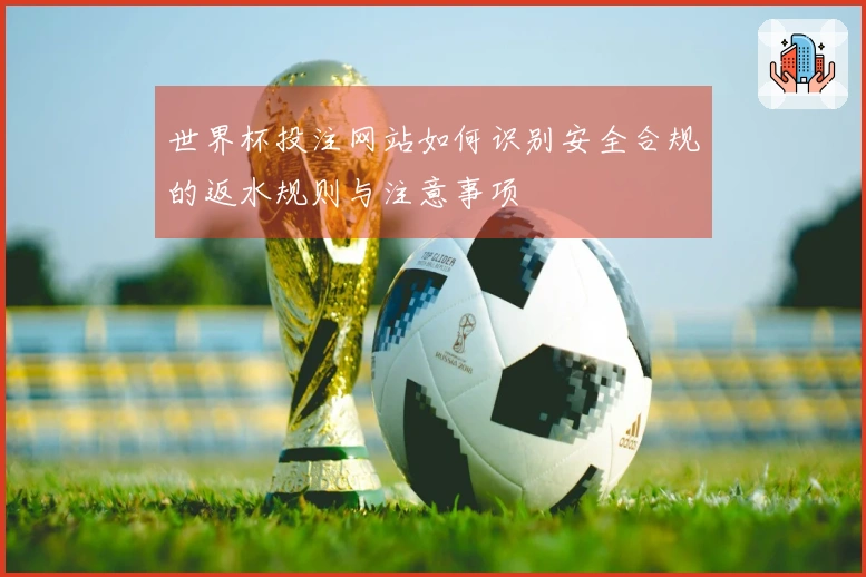 世界杯投注网站如何识别安全合规的返水规则与注意事项