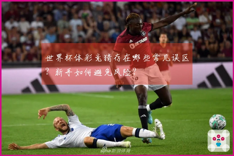 世界杯体彩竞猜存在哪些常见误区？新手如何避免风险？