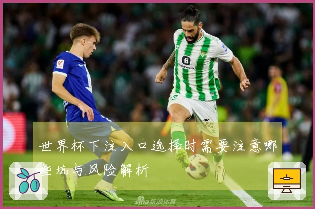 世界杯下注入口选择时需要注意哪些坑与风险解析