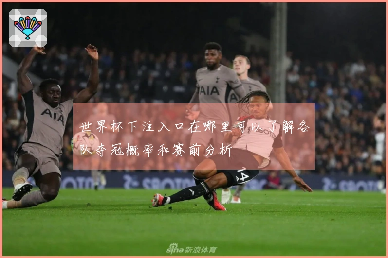 世界杯下注入口在哪里可以了解各队夺冠概率和赛前分析