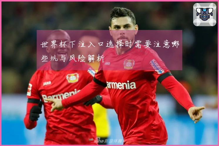 世界杯下注入口选择时需要注意哪些坑与风险解析