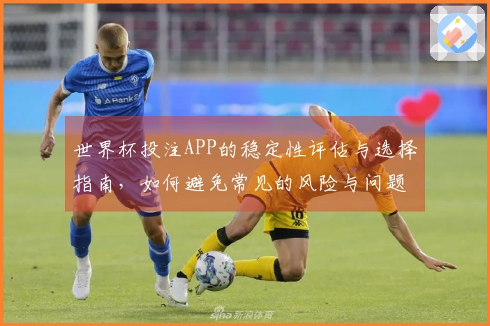 世界杯投注APP的稳定性评估与选择指南，如何避免常见的风险与问题