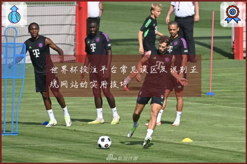 世界杯投注平台常见误区及识别正规网站的实用技巧
