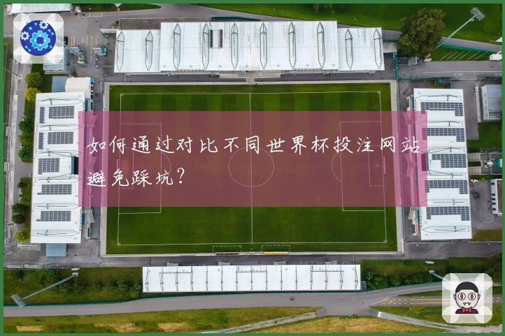 如何通过对比不同世界杯投注网站避免踩坑？