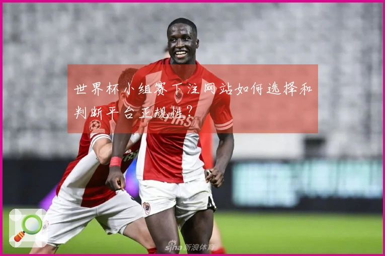 世界杯小组赛下注网站如何选择和判断平台正规性？