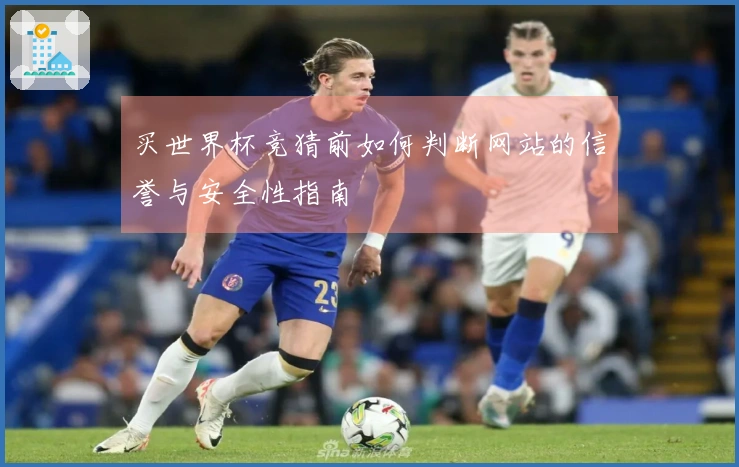 买世界杯竞猜前如何判断网站的信誉与安全性指南