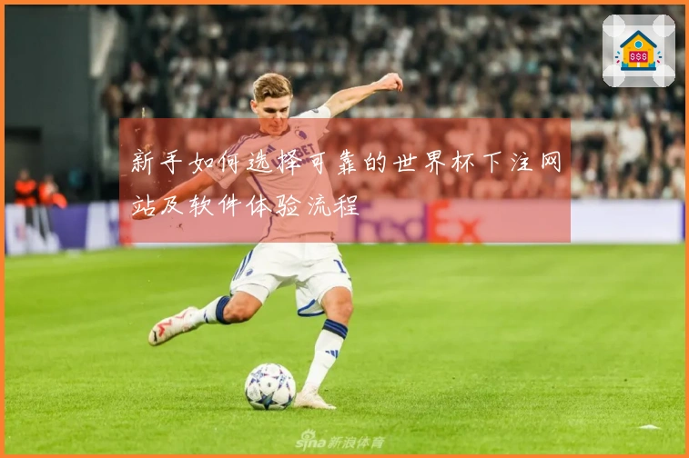 新手如何选择可靠的世界杯下注网站及软件体验流程
